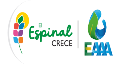 Política de Seguridad Vial