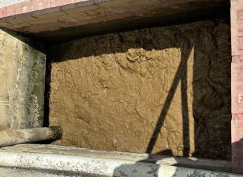 Niveles altos de turbiedad y color